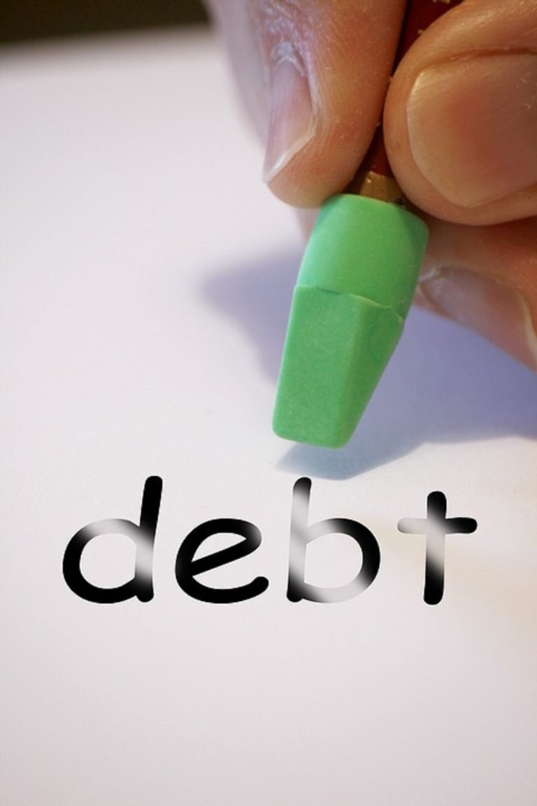 Choose Carefully Between A Professional Service For Debt Consolidation Or Credit Counseling