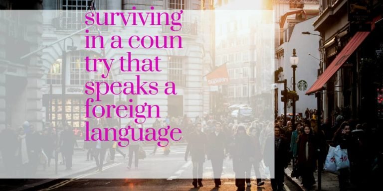 survive in a country that speaks a foreign language
