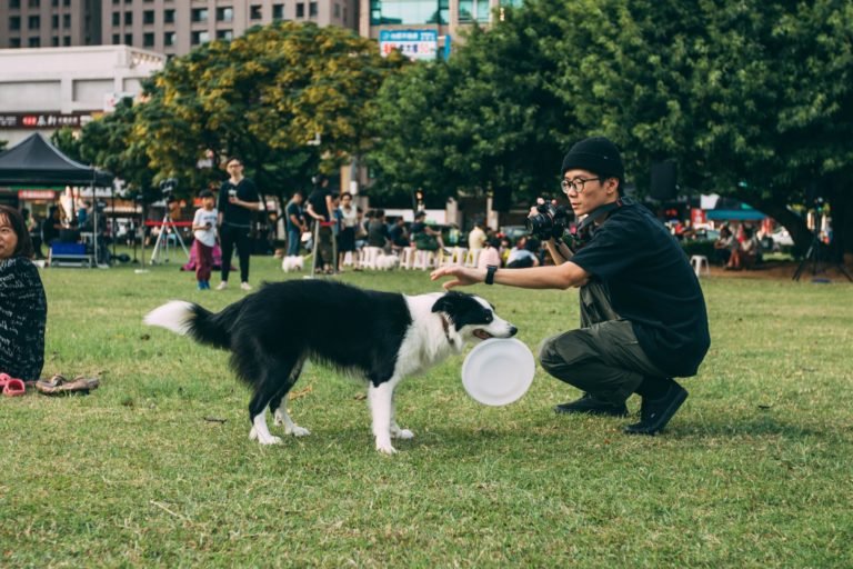How Dog Can Help to Reduce Students Stress