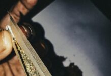 Smoking Pure CBD Instead Of Full Spectrum Pre Rolls