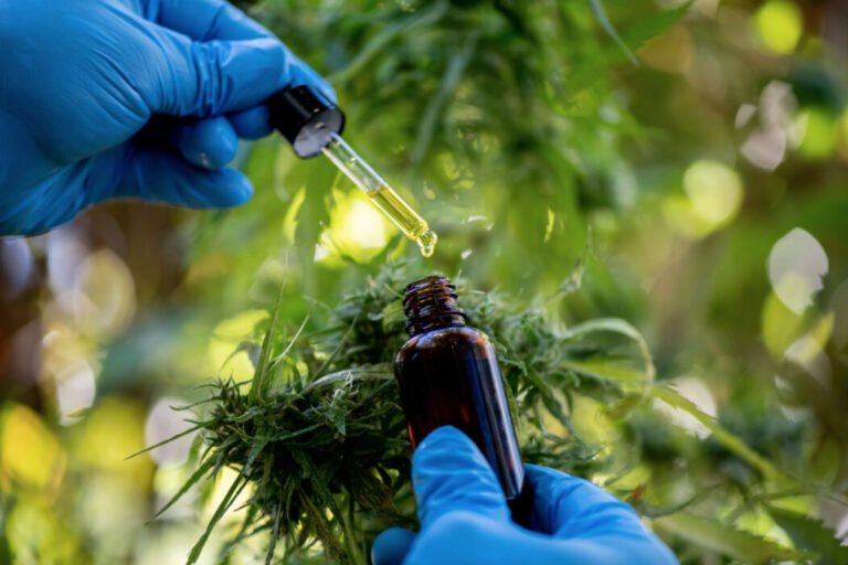The History Behind CBD Products
