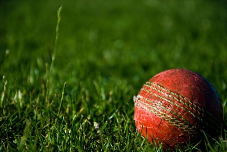 2021 IPL Cricket Tournament Projections
