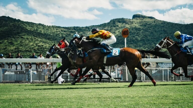 Understanding Horse Race Handicaps