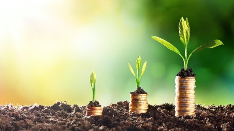 What Are the Different Types of Endowment Funds That Exist Today