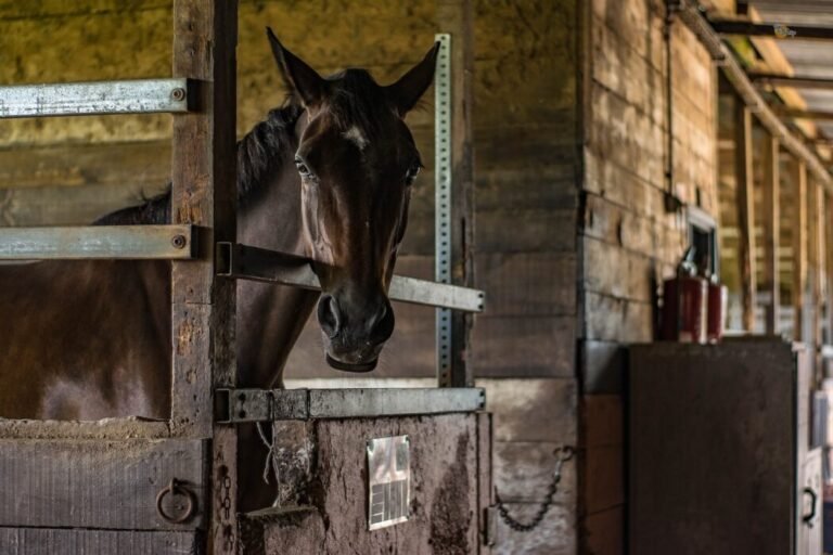horse stable