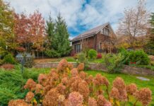 5 Outdoor Design Trends That Are Taking Over Suburban Backyards in 2025